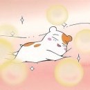 한식조리기능사(실기) 이미지