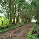 용지사거리 이미지