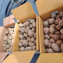 자영농장 이미지