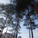 미나리어린이공원 이미지