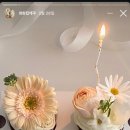 크리미모리 이미지