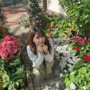 아오이(Aoi) 네이버블로그