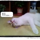 놀아줘 - 영등포구 선유동1로 6-7 | 놀아줘