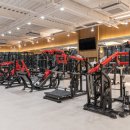 어셈블피티샵 이미지