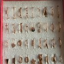 서도지구대 이미지