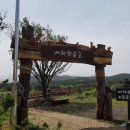 머체왓숲길