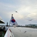 댕댕곳간 | [아라뱃길] 펫츠고 ☆우주최초☆ 댕댕크루즈 후기