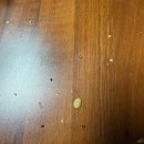 상큼달콤 맛있는 저당 수제 과일청 청과제리 딸기청