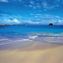 산들가축 이미지