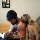 댕댕이# 이미지