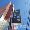 202랜드