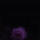 섬꽃향기 민박 이미지