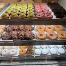 [디저트 투어] 수원 랜디스도넛 &amp; 천안 크림당 본점 정복! 🍩🧁