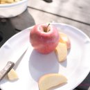 상모농장 이미지