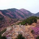 남지계곡 입구 이미지