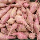 신나농장 이미지