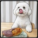 영암슈퍼 | 영암 고구마 선택 기준 알아본 후기