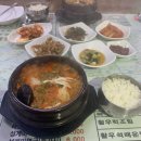 놀멍쉬멍자멍 | jeju ep10. 뚜벅이 제주 서쪽 나들이 / 다른 게하 염탐