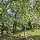 항구초등학교 이미지