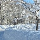 설산의 아사히다케에서(1) 이미지