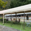 바둑이농장 이미지