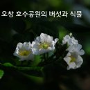 참나무공원 화장실 이미지