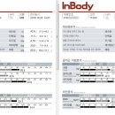 바디힐짐