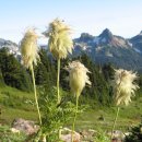 카우보이목장 이미지