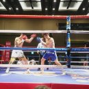 프로체육관 이미지