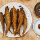 희순농장 티스토리