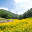 병방산군립공원 이미지