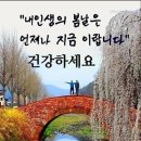 사계절 이미지
