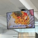 와사비사진관 네이버블로그