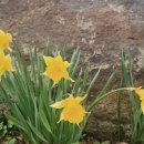 장수 번암막걸리 이미지