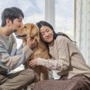 씽씽 동물의료센터 이미지