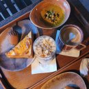 도토리(dotori) 이미지