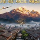 럭키항공여행사