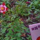 원종2동 주민센터 이미지