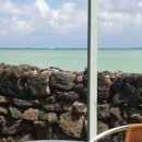 제주마중 판포 이미지