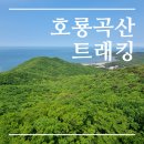 제92차 정기산행 인천 무의도 호룡곡산 하나개 해수욕장 이미지