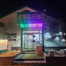 새마을농장 | 🐷 포항 미나리삼겹살 맛집 안계미나리농장 방문 후기