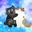 Dream Cat (드림캣) 이미지