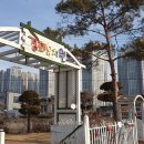 경희유치원 앞 이미지