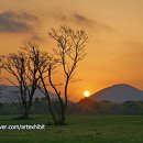 석양목장 이미지