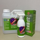 시선끌림