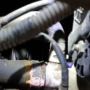 플러스카센타 이미지