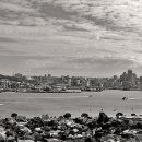 스카이타워 이미지