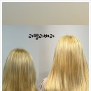 라벨라 베라