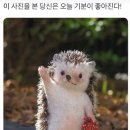 강원도 횡성군 횡성읍 태기로 이미지