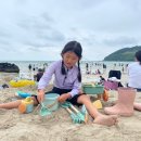 곽지 1645 이미지